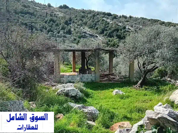 789 m Land with olive and ready base house