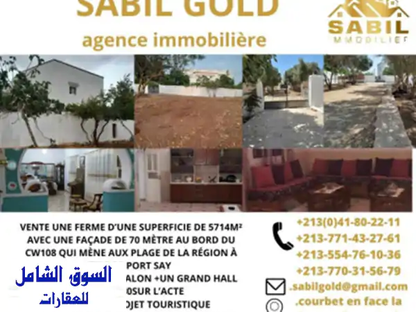 Vente bien immobilier Tlemcen Maghnia