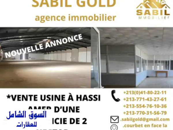 Vente Usine Oran Hassi bounif