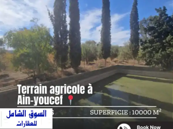 Vente Terrain Agricole Tlemcen Ain youcef