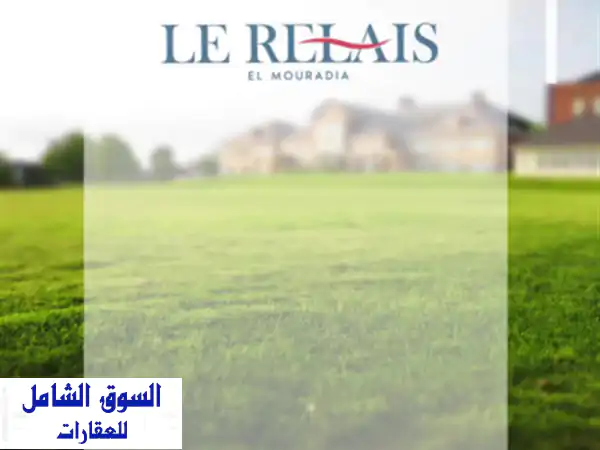 Vente Terrain Alger El mouradia