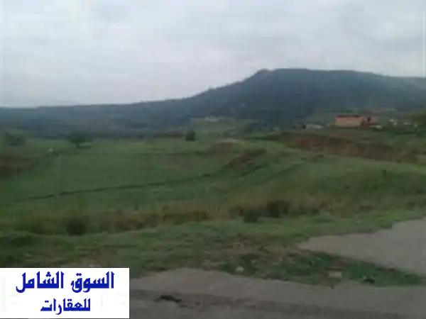 Vente Terrain Béjaïa Oued ghir