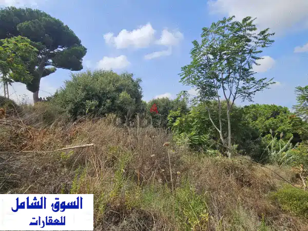 Land for sale in Ain Saadeh ارض للبيع في عين سعادة