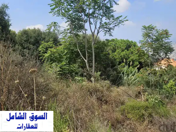 Land for sale in Ain Saadeh ارض للبيع في عين سعادة