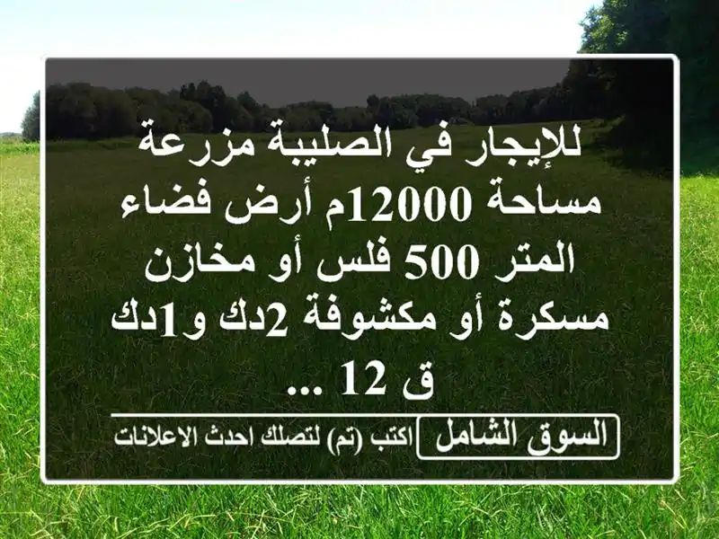 للإيجار في الصليبة مزرعة مساحة 12000م أرض فضاء المتر...