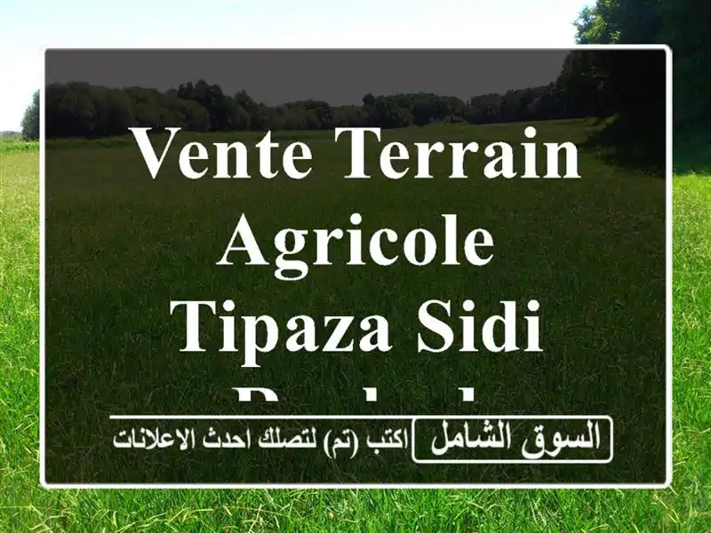 Vente Terrain Agricole Tipaza Sidi rached