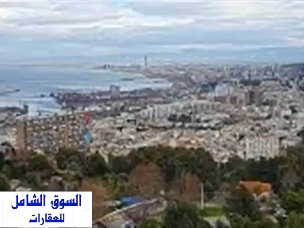 Vente Terrain Alger El biar