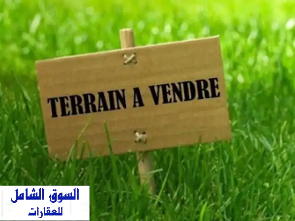 Vente Terrain Alger Reghaia