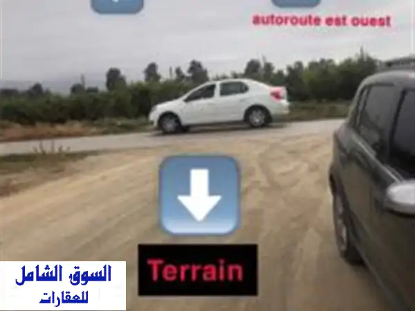 Location Terrain Alger Ouled chebel