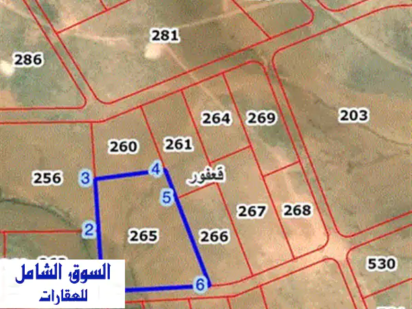 10.5 دونم قعفور قوشان مستقل تبعد عن جمرك عمان 6 كيلو بسعر مغري جدا