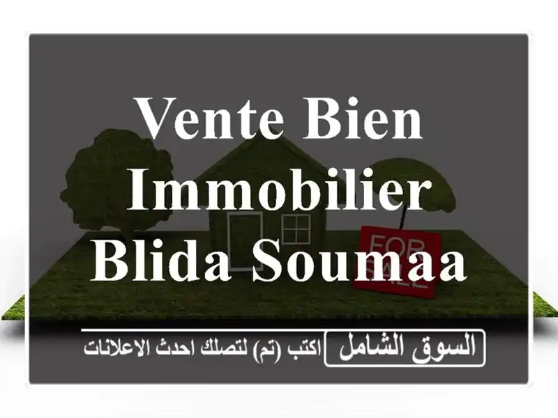 Vente bien immobilier Blida Soumaa