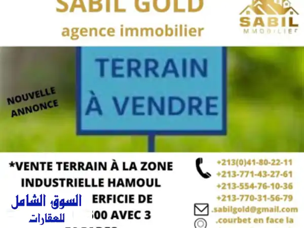 Vente Terrain Oran Oued tlelat