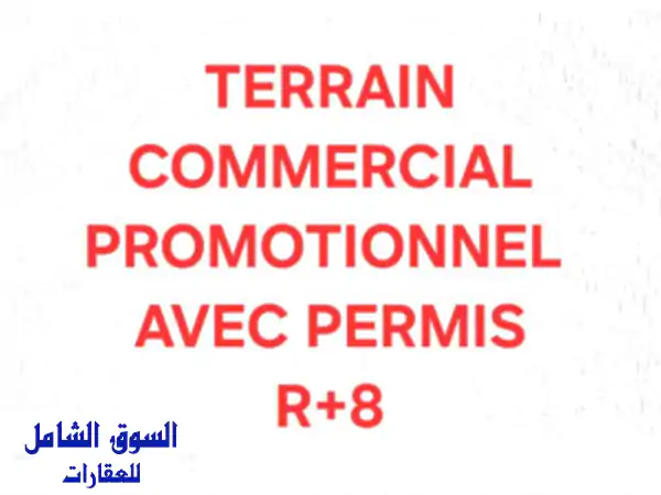 Vente Terrain Oran Bir el djir