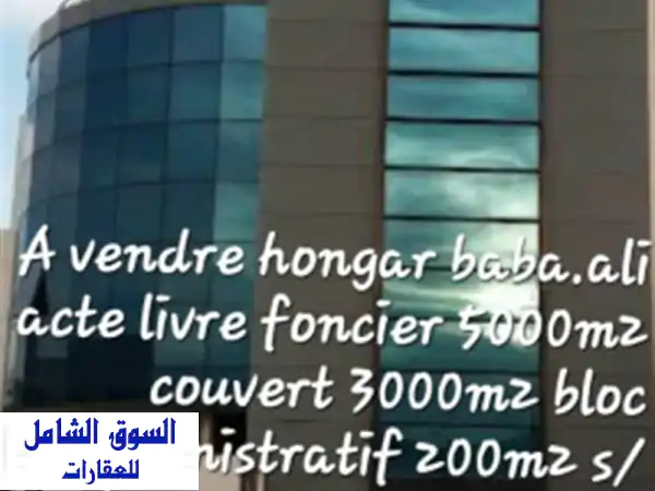 Vente Hangar Alger Birtouta
