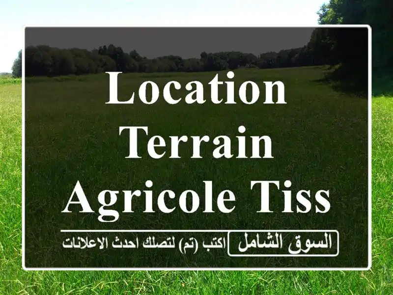 Location Terrain Agricole Tissemsilt Layoune