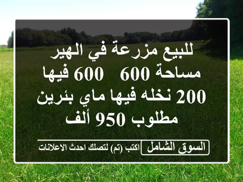 للبيع مزرعة في الهير مساحة 600 / 600 فيها 200 نخله فيها ماي بئرين مطلوب 950 ألف