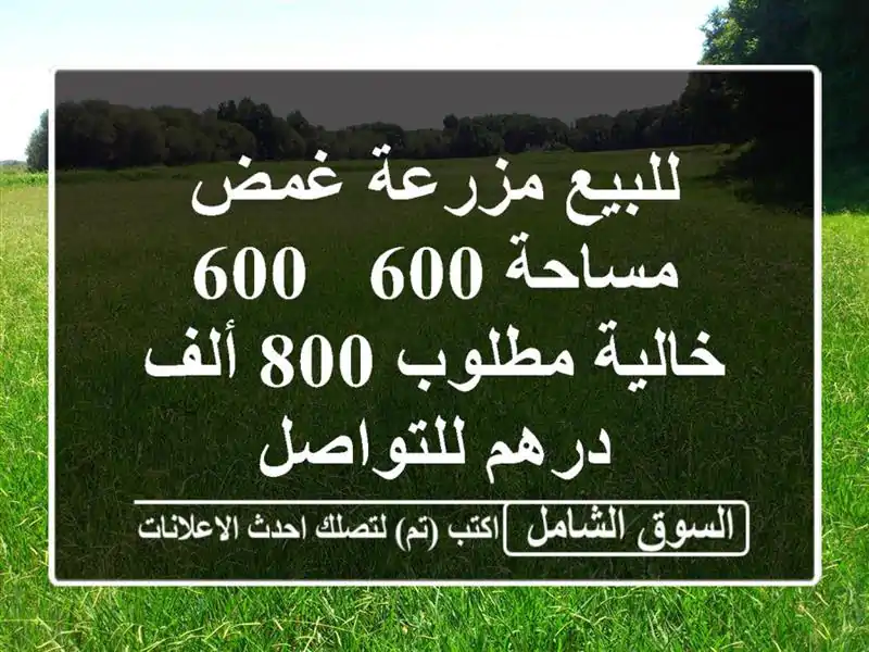 للبيع مزرعة غمض مساحة 600 / 600 خالية مطلوب 800 ألف درهم للتواصل