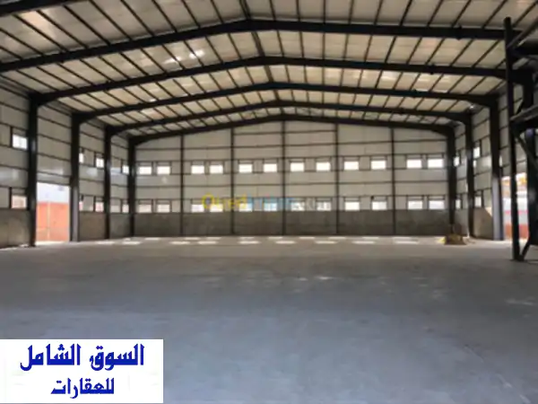 Location Hangar Alger Bab ezzouar