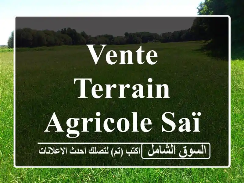 Vente Terrain Agricole Saïda Maamora