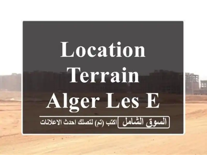 Location Terrain Alger Les eucalyptus