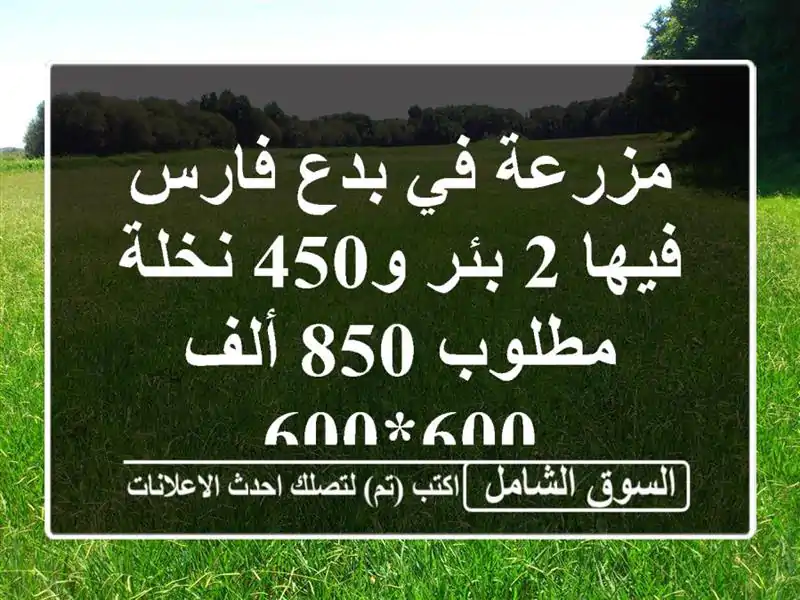 مزرعة في بدع فارس فيها 2 بئر و450 نخلة مطلوب 850 ألف 600*600