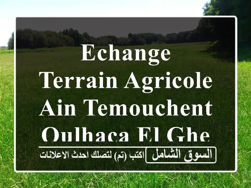 Echange Terrain Agricole Ain temouchent Oulhaca el gheraba