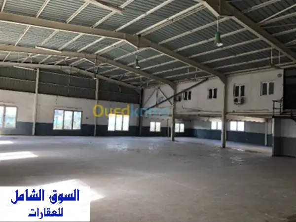 Location Hangar Alger Dar el beida