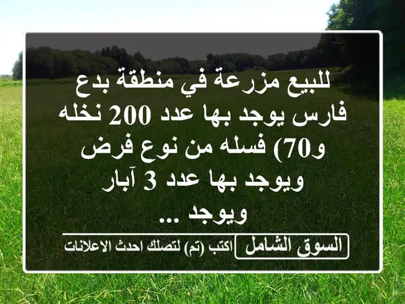 للبيع مزرعة في منطقة بدع فارس يوجد بها عدد 200 نخله...
