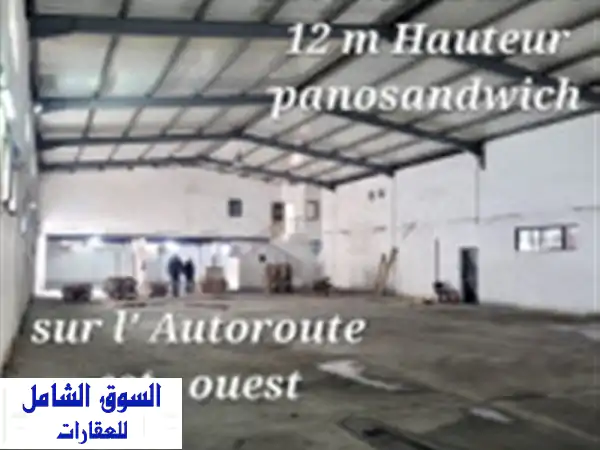 Location Hangar Blida Meftah