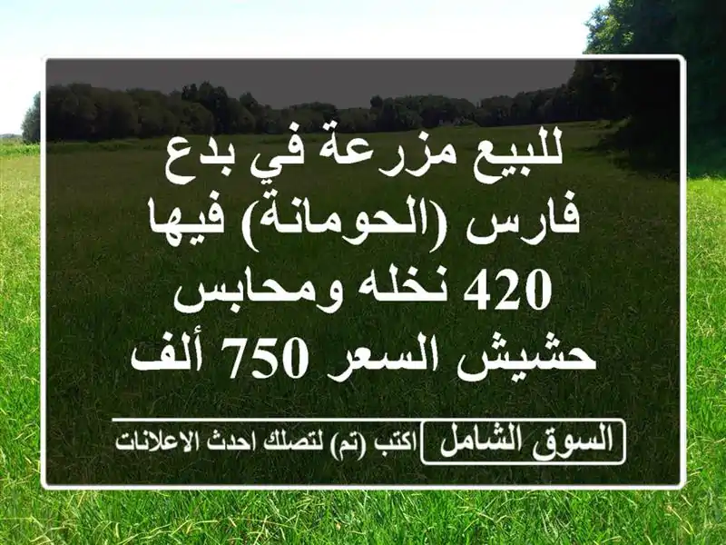 للبيع مزرعة في بدع فارس (الحومانة) فيها 420 نخله ومحابس حشيش السعر 750 ألف