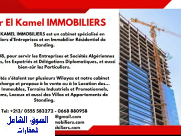 Vente Immeuble Alger Hussein dey