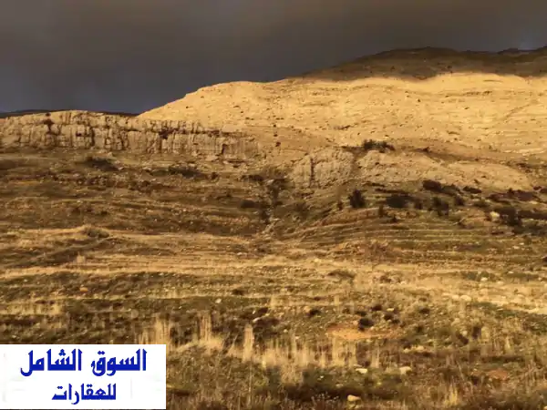 BEAUTIFUL LAND IN SANINE عقار مميز في سفح جبل صنين