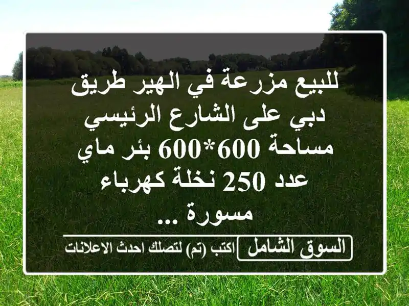 للبيع مزرعة في الهير طريق دبي على الشارع الرئيسي مساحة 600*600 بئر ماي عدد 250 نخلة كهرباء مسورة ...