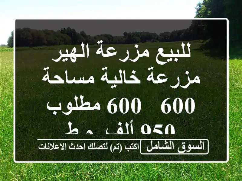 للبيع مزرعة الهير مزرعة خالية مساحة 600 / 600 مطلوب 950 ألف. م ط