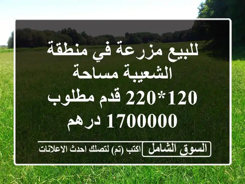 للبيع مزرعة في منطقة الشعيبة مساحة 120*220 قدم مطلوب 1700000 درهم