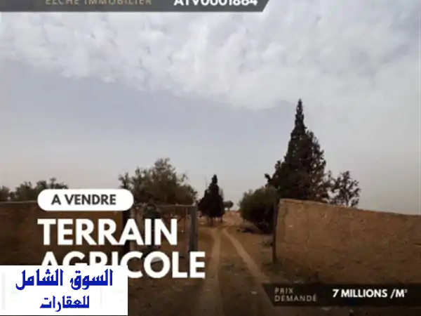 Vente Terrain Agricole Oran Oued tlelat