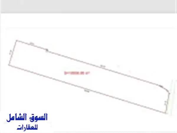 بيع أرض الجزائر أولاد الشبل