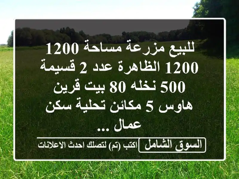 للبيع مزرعة مساحة 1200  1200 الظاهرة عدد 2 قسيمة 500 نخله 80 بيت قرين هاوس 5 مكائن تحلية سكن عمال ...