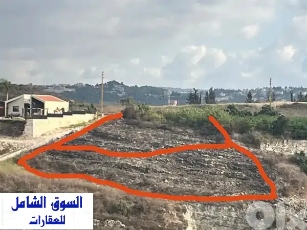 فرصة استثمارية لا تتكرر! أرض مميزة للبيع في عين...