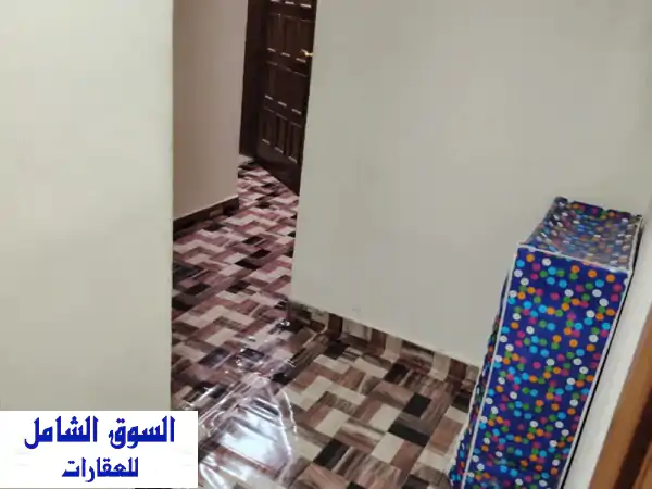 ✨ فرصة ذهبية: سرير للإيجار في شعبية 12 (للبنات...