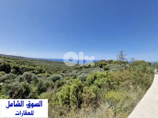 فرصة استثنائية: أرض للبيع في البربارة بإطلالة...