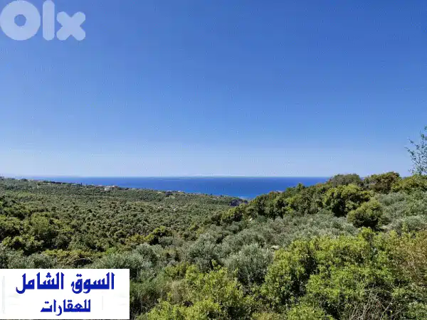فرصة استثنائية: أرض للبيع في البربارة بإطلالة بحرية بانورامية - موقع مميز لبناء فيلا الأحلام!
