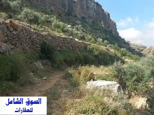 ارض للبيع في شارون، جبل لبنان: 2300م²...