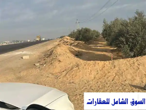 فرصة ذهبية: 5 فدان للبيع بالتقسيط | طريق...