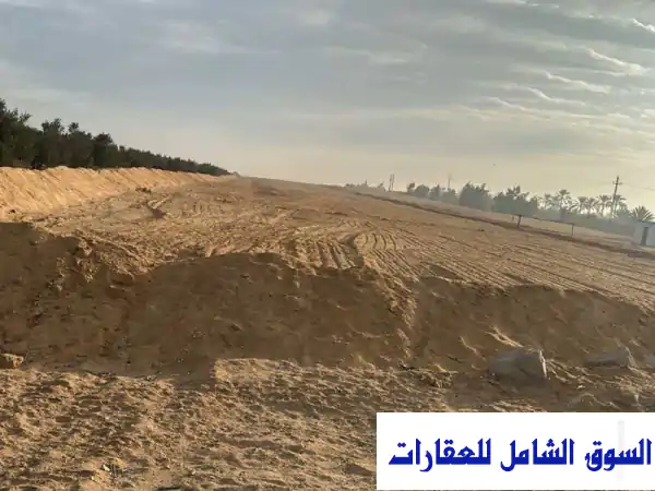 فرصة ذهبية: 5 فدان للبيع بالتقسيط | طريق الإسكندرية الصحراوي | سفنكس الجديدة