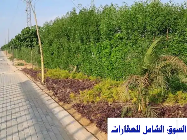 فرصة استثمارية ذهبية! أرض زراعية 1000م بكمبوند...