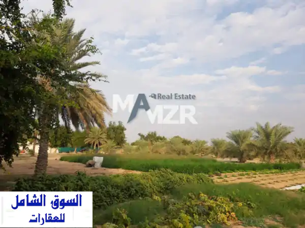 مزرعة للبيع الختم، أبوظبي: موقع مميز جداً | 400x565 قدم |...