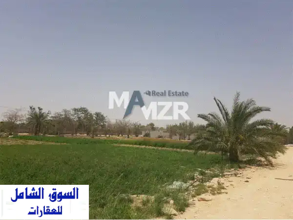 مزرعة للبيع الختم، أبوظبي: موقع مميز جداً | 400x565 قدم | 1.2 مليون درهم