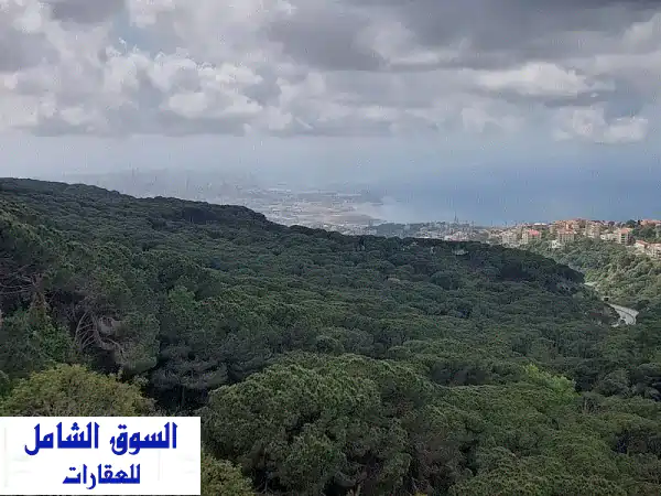 فرصة ذهبية: دوبلكس فاخر 420م للبيع ببرمانا |...