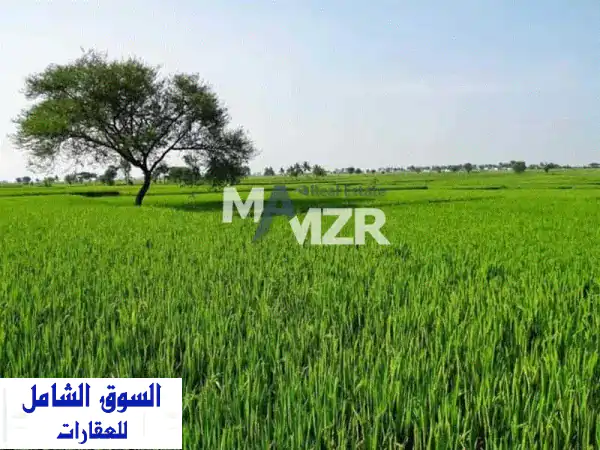 مزرعة الأحلام للبيع في الختم، دهن شمال بأبوظبي -...